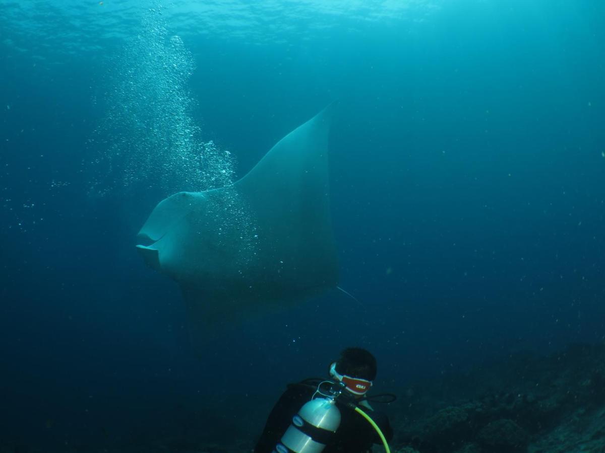 Hamueco Dive Resort Raja Ampat Rabia Esterno foto