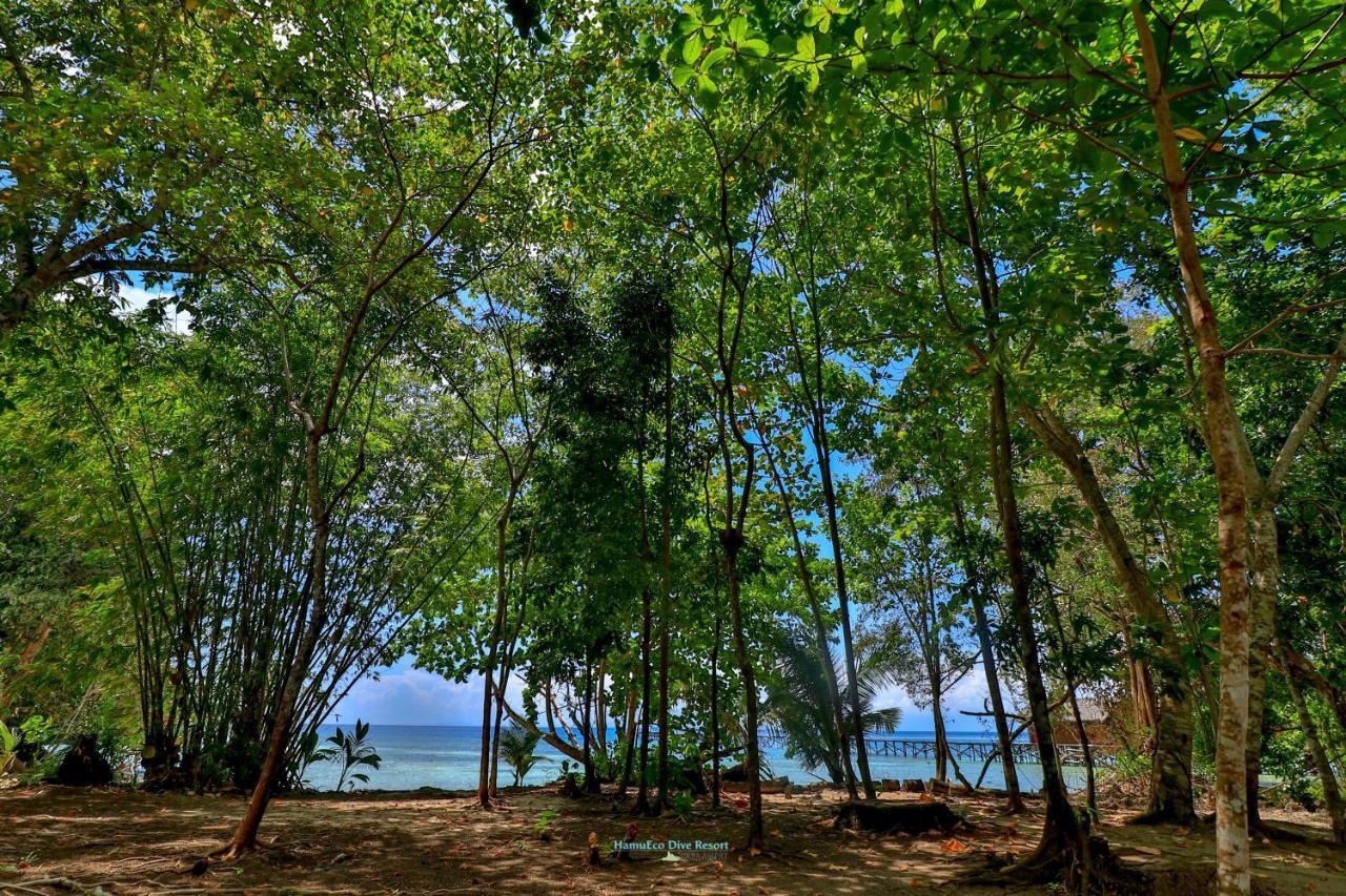 Hamueco Dive Resort Raja Ampat Rabia Esterno foto