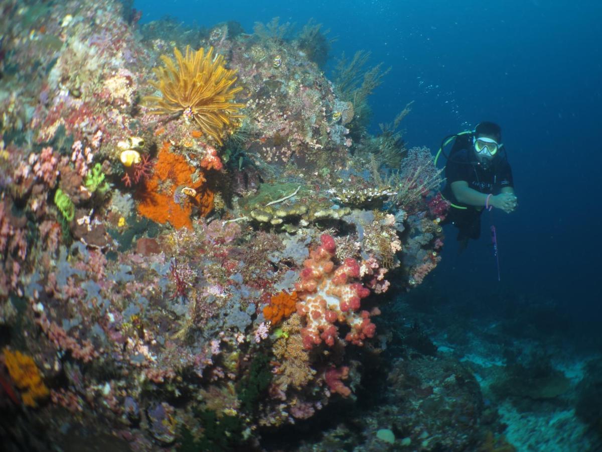 Hamueco Dive Resort Raja Ampat Rabia Esterno foto